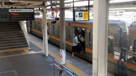 1231 (3)