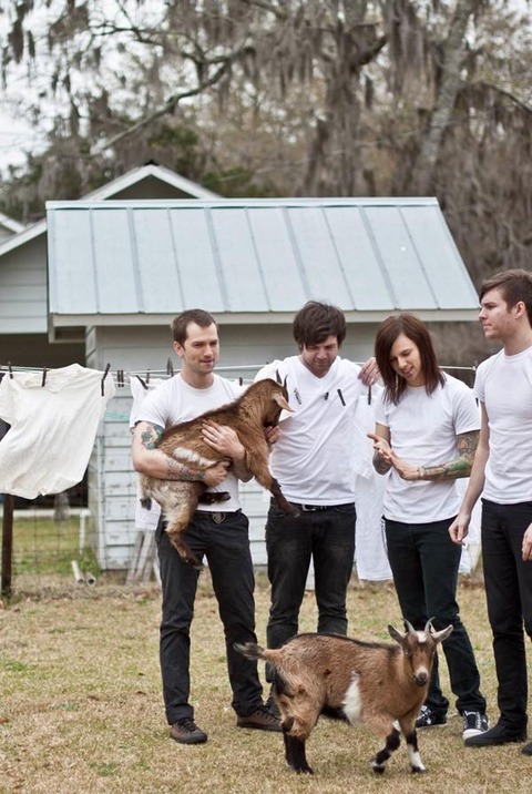 Showbread