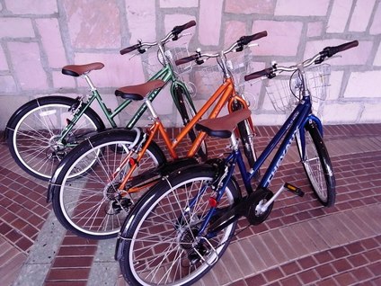 浜名湖サイクル