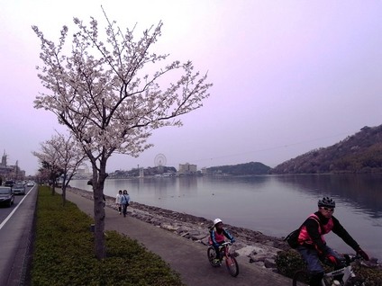 浜名湖サイクル