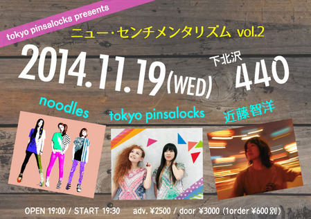 NSLflyer_141119