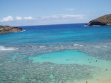 海
