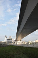 DSC_0436