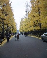 2004-1204-1222.jpg