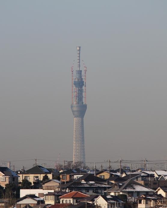 skytree_3199