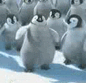 Penguin3