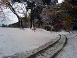 ca882822.jpg
