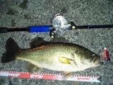 6ef61a44.jpg