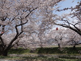 DSC05082