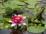 DSC05302_01