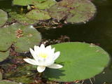 DSC05301_01
