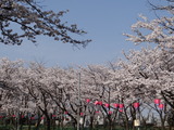 DSC05125