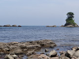 DSC05376_01