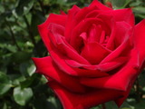 DSC05330