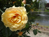DSC05289_01