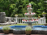 DSC05341_01