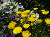 DSC05276_01