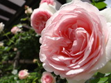 DSC05293