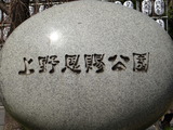 DSC05029