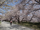 DSC05089