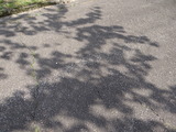 DSC05124