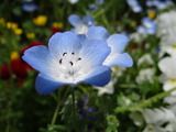 DSC05273_01