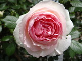 DSC05297