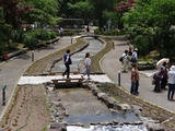 DSC05338_01