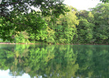 1103146b.jpg
