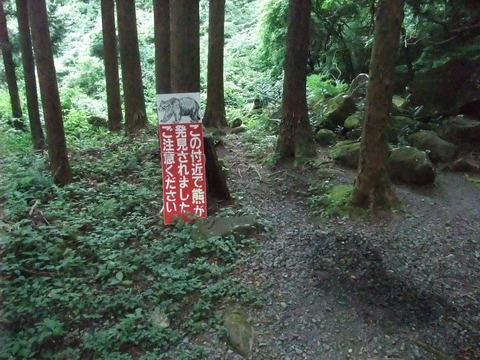 DSCF1210
