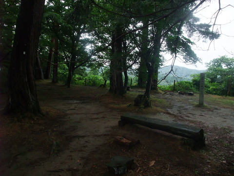 DSCF1242