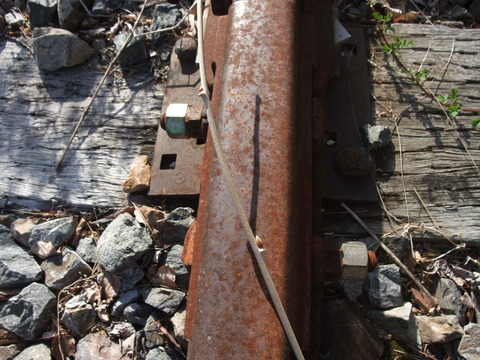 DSCF0807