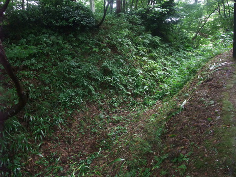 DSCF1244