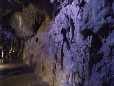 DSCF0836
