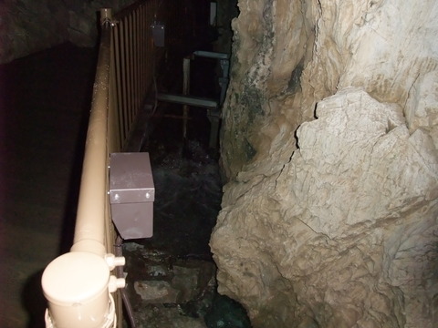 DSCF0819