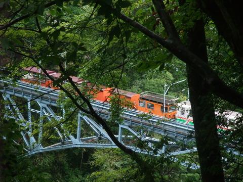 DSCF1271