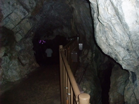 DSCF0816