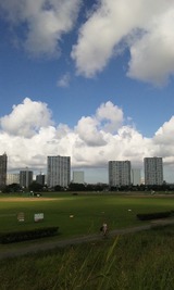 3c793403.jpg