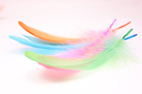 604d405cfee09d5d5aa6605f86ece678_m