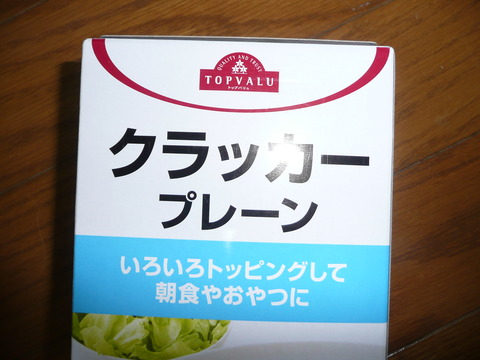 P1070960