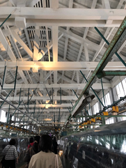 富岡製糸場2
