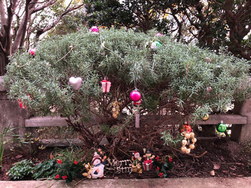 クリスマスの花壇2