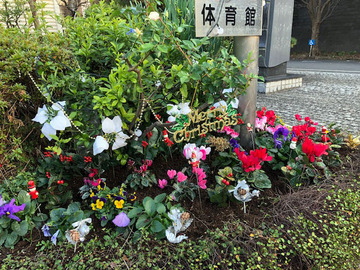 クリスマスの花壇