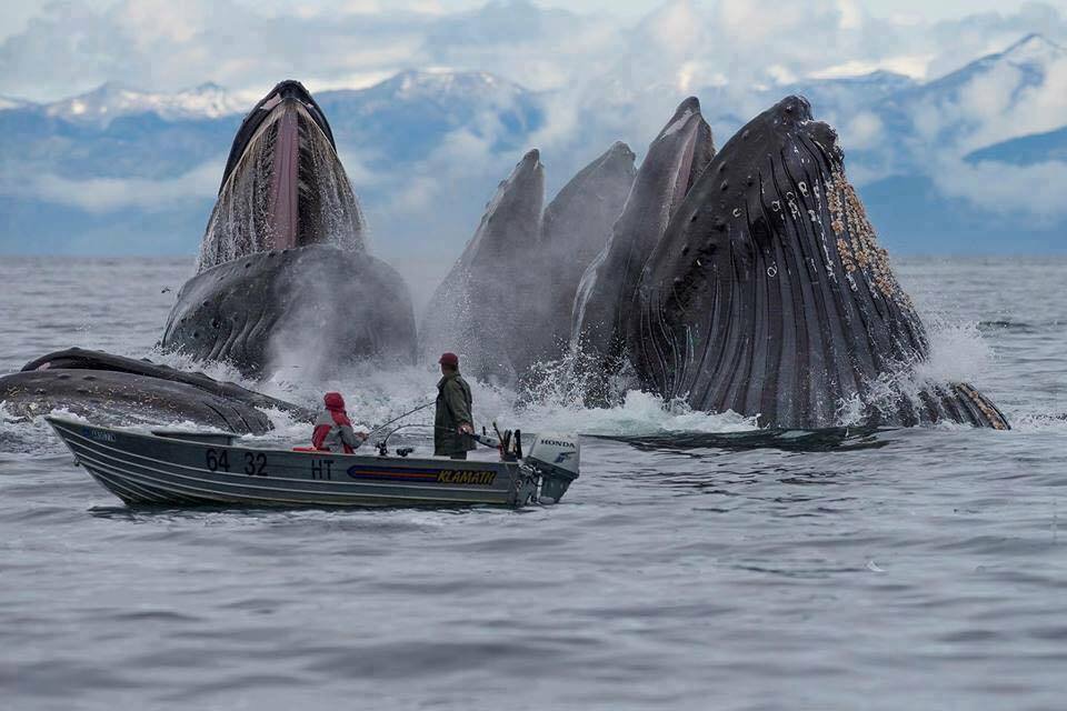 カブト ページ 167 大喜利限界集落
