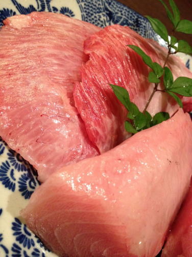 maguro
