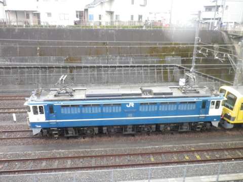 IMGP9263