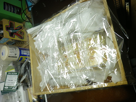 IMGP9176
