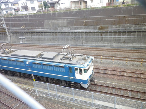 IMGP9224