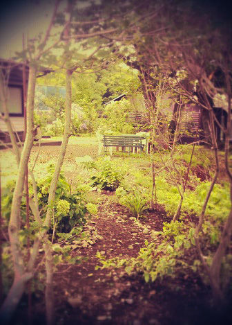 ³«º¦¥¬¡¼¥Ç¥ó½©26_edited