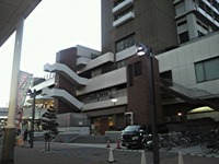 S-P1000888